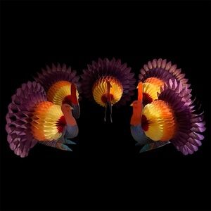 AMSCAN Honeycomb Turkey Thanksgiving Autumn Fall Excellent Vibrant No Tears S/5